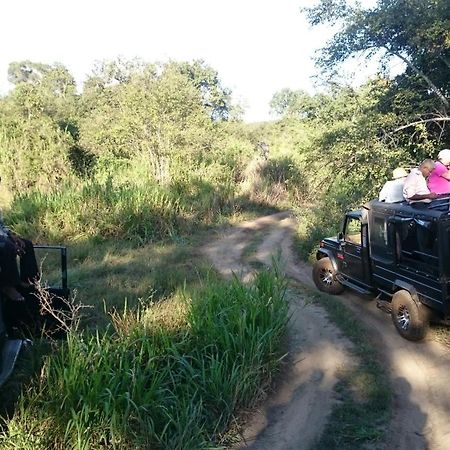Isanka Lion Lodge Sigiriya Ngoại thất bức ảnh