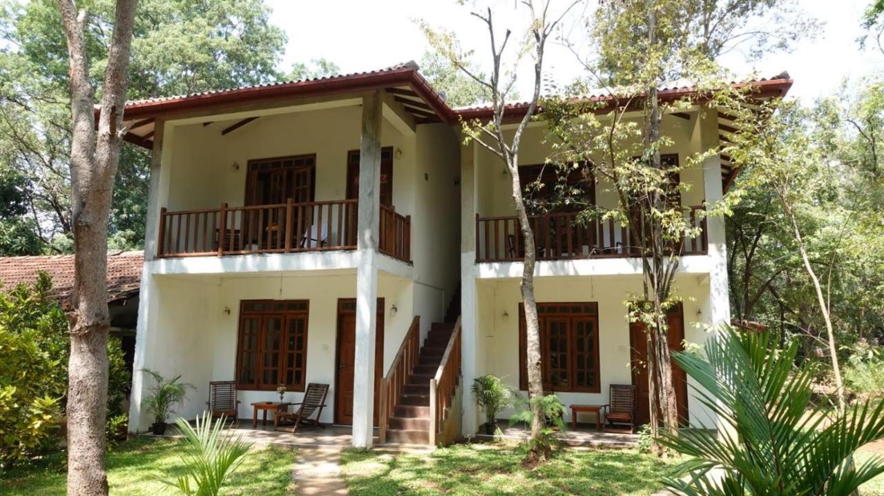 Isanka Lion Lodge Sigiriya Ngoại thất bức ảnh
