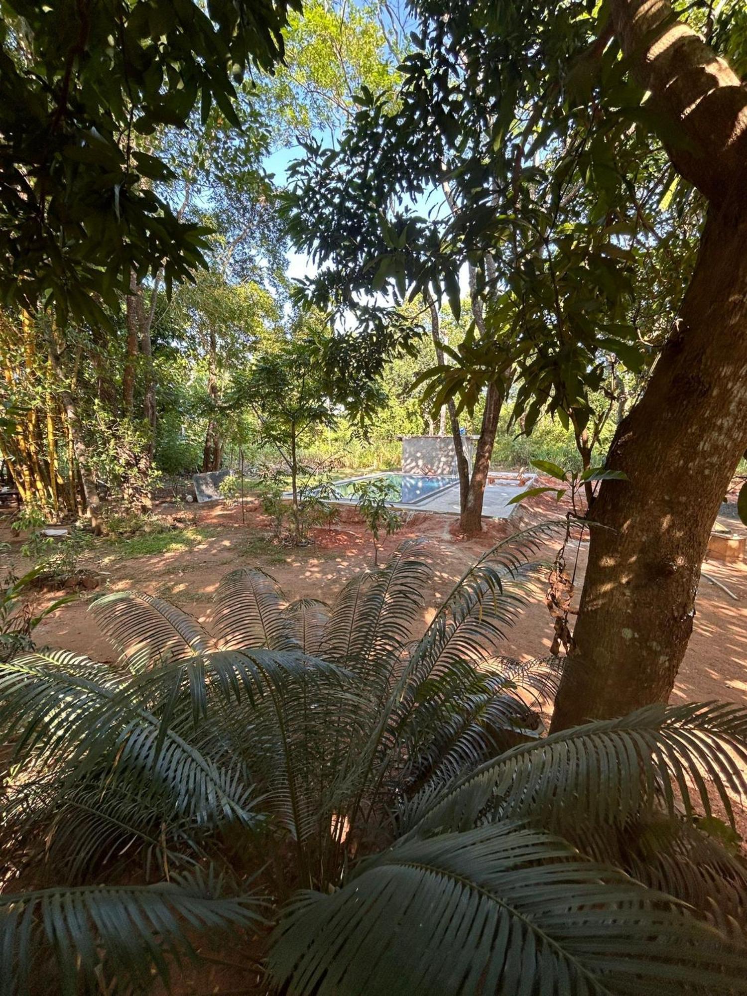 Isanka Lion Lodge Sigiriya Ngoại thất bức ảnh