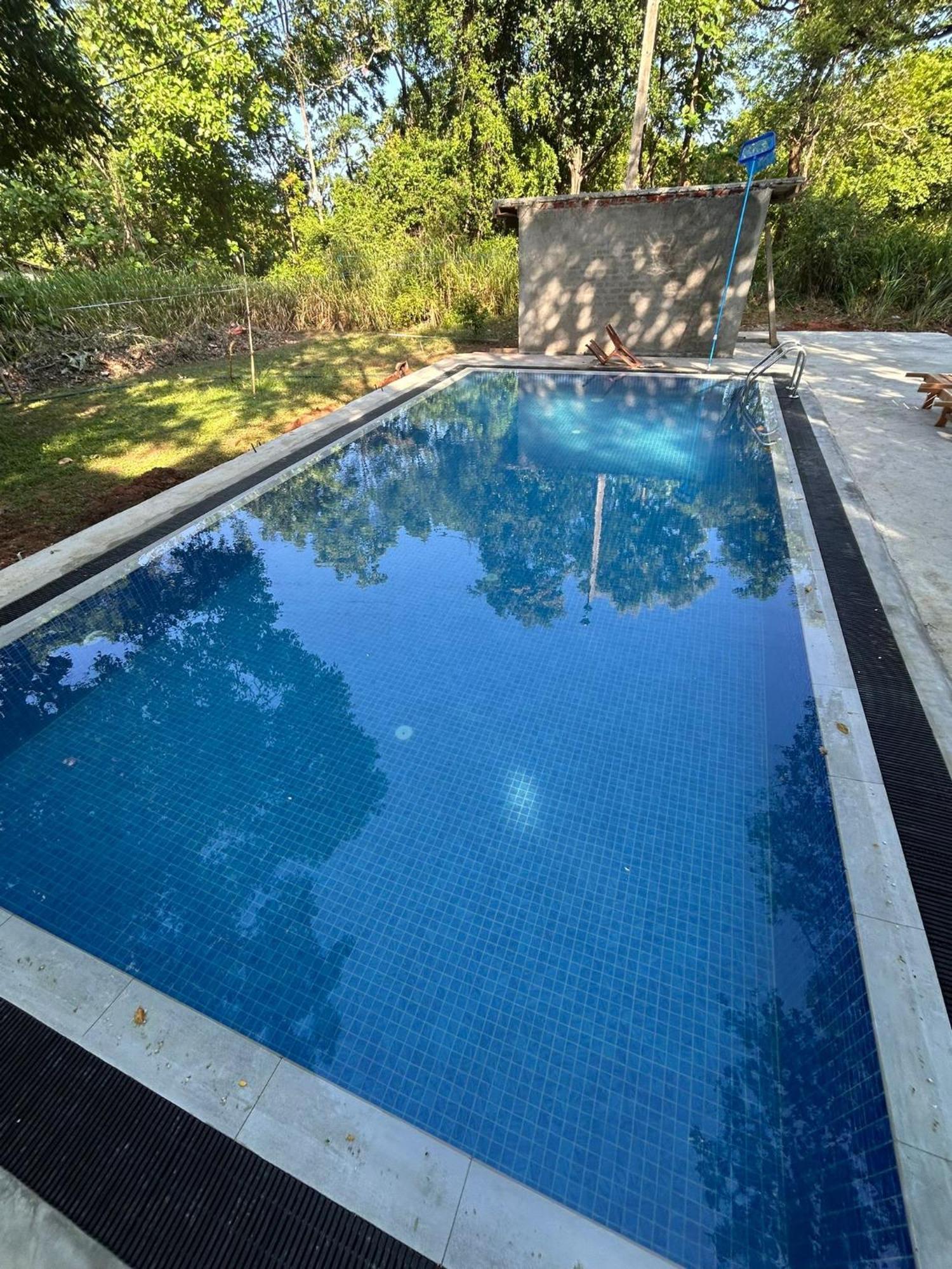 Isanka Lion Lodge Sigiriya Ngoại thất bức ảnh
