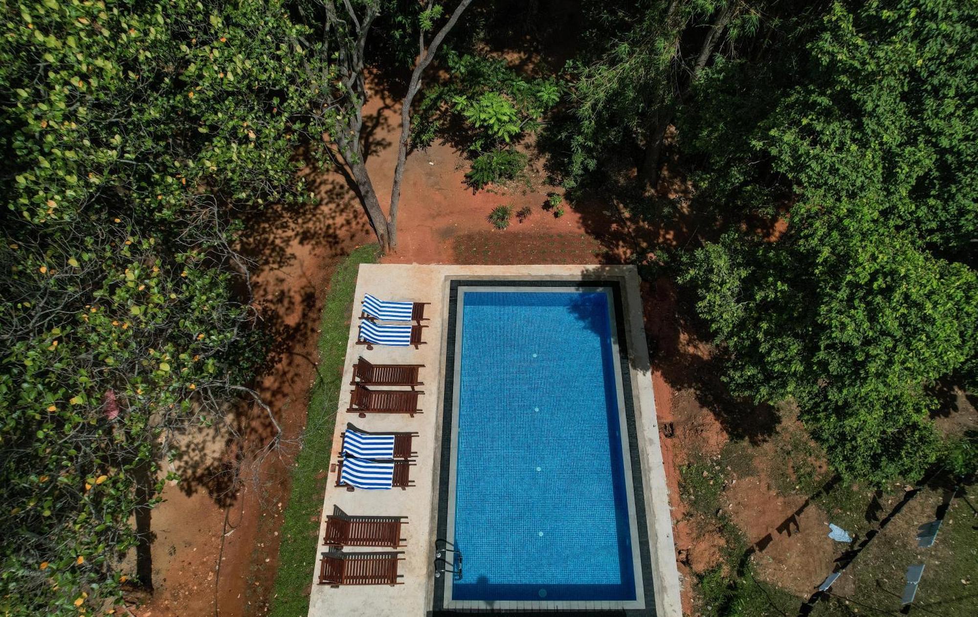 Isanka Lion Lodge Sigiriya Ngoại thất bức ảnh