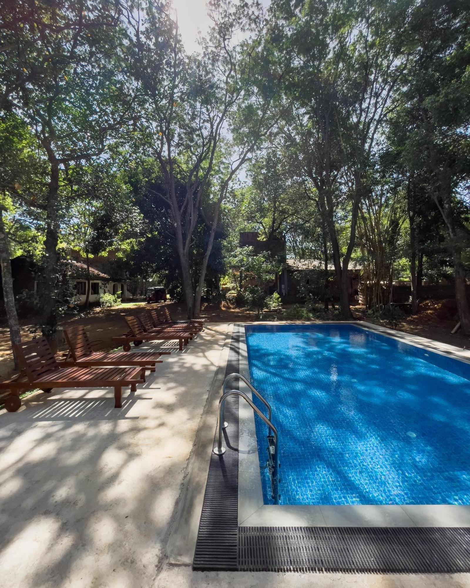 Isanka Lion Lodge Sigiriya Ngoại thất bức ảnh