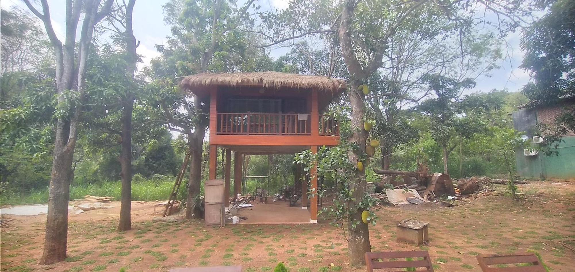 Isanka Lion Lodge Sigiriya Ngoại thất bức ảnh