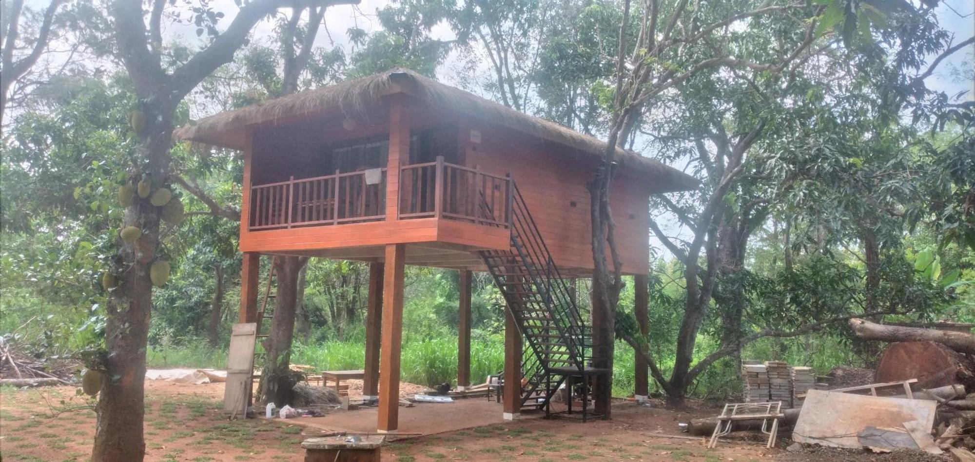 Isanka Lion Lodge Sigiriya Ngoại thất bức ảnh