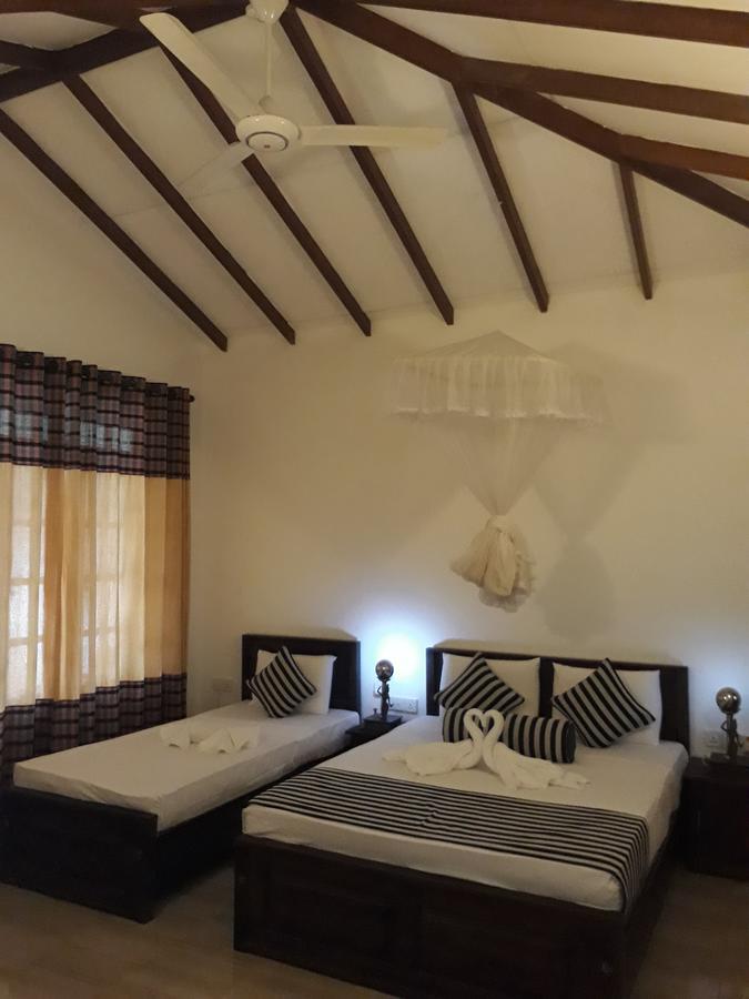 Isanka Lion Lodge Sigiriya Ngoại thất bức ảnh